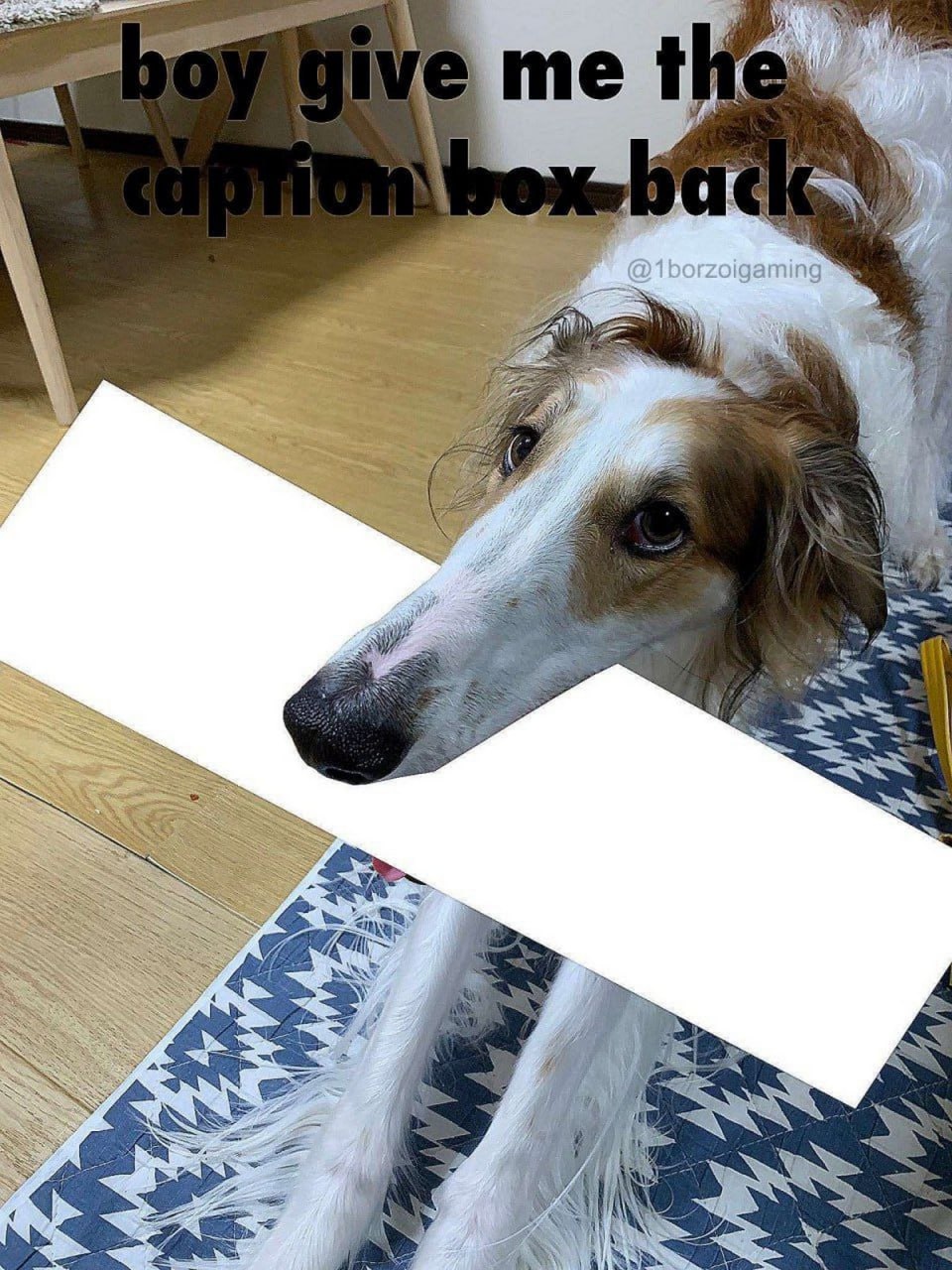 Boy give me the caption box back Борзая собака, которая требует вернуть поле для подписи.