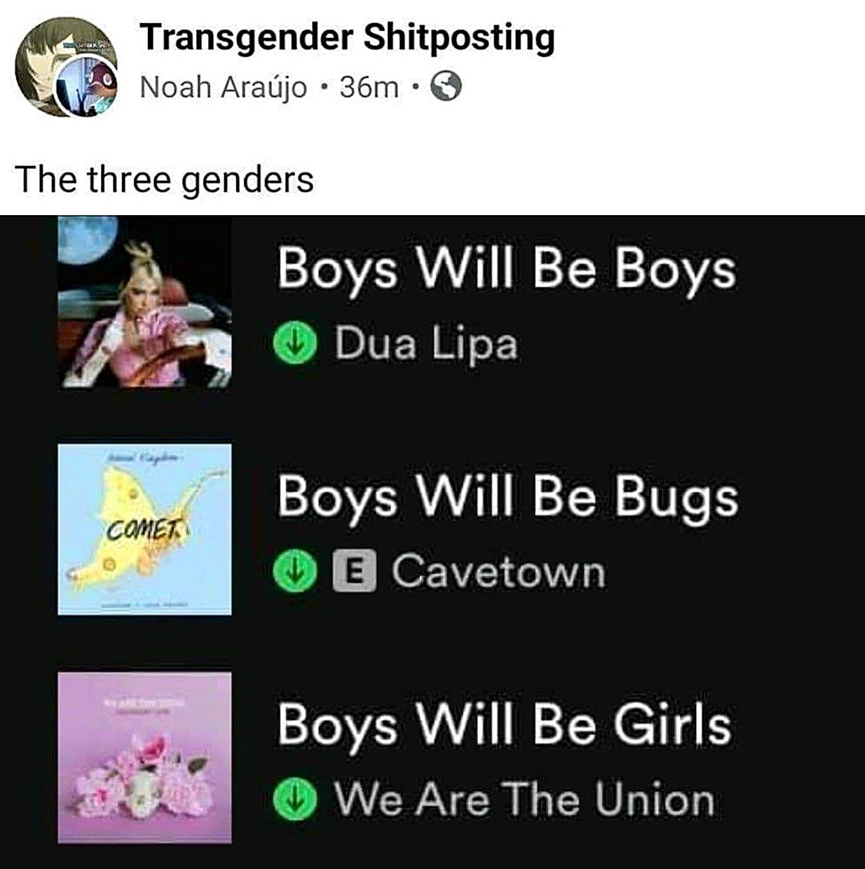 Boys Will Be Boys, Boys Will Be Bugs, Boys Will Be Girls Мем про три гендера с песнями Boys Will Be Boys, Boys Will Be Bugs и Boys Will Be Girls.