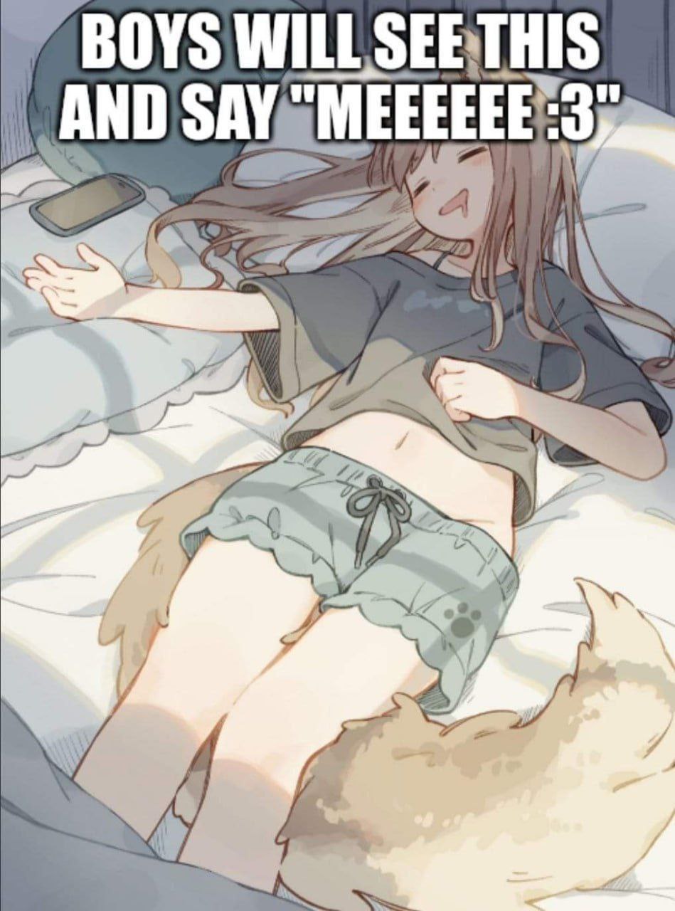 Boys will see this and say "MEEEEE :3" Милая девушка-лисичка спит на кровати, а сверху мемный текст "Boys will see this and say \"MEEEEE :3\""
