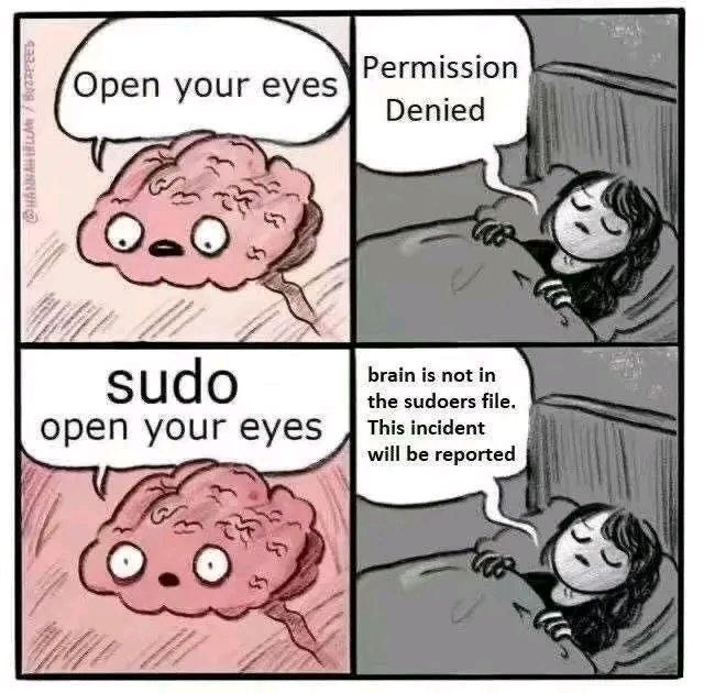 Мозг и sudo open your eyes Мем про мозг, который пытается разбудить человека командой sudo open your eyes и получает отказ
