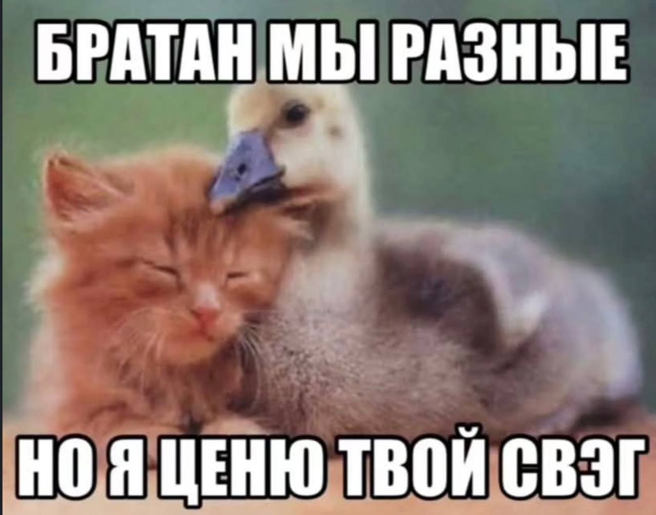 Братан мы разные но я ценю твой свэг Братан мы разные но я ценю твой свэг