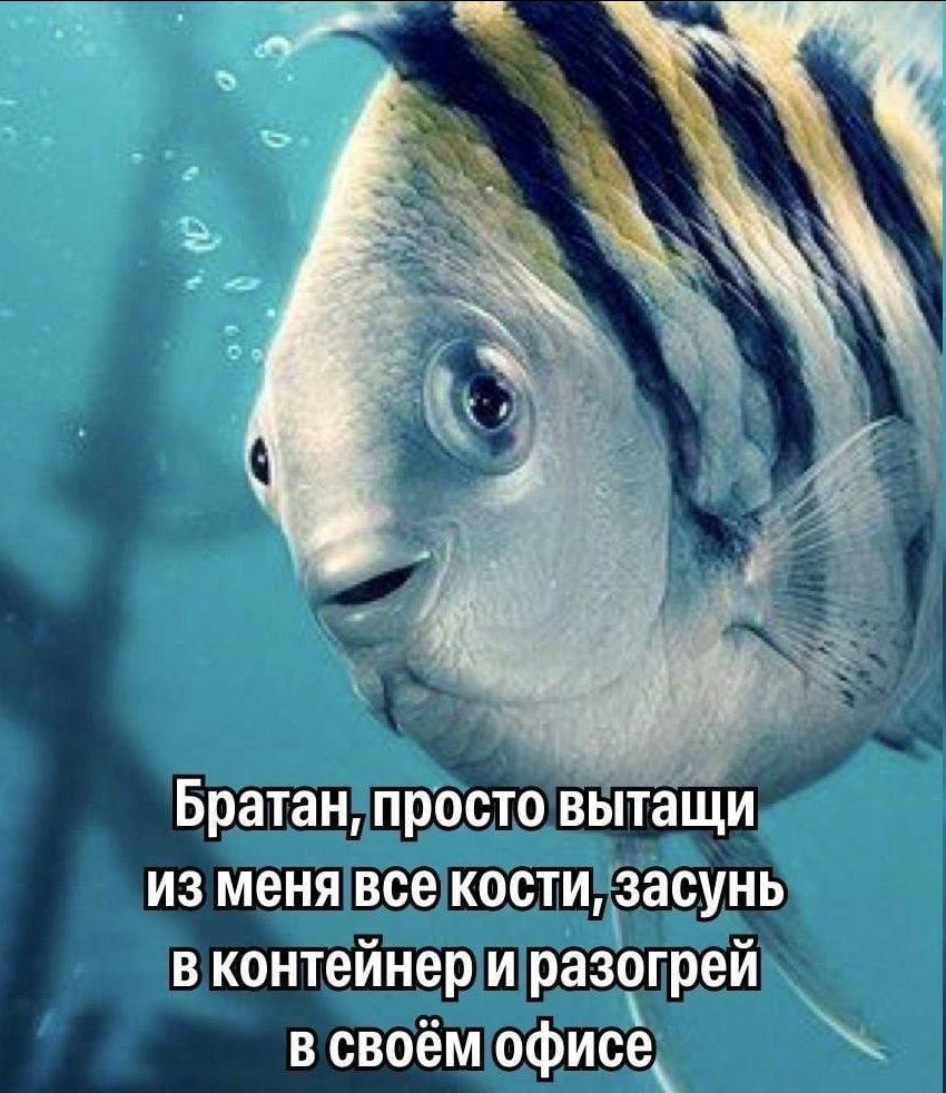 Братан, просто вытащи из меня все кости Мем с рыбой, которая просит вытащить из неё кости и разогреть в офисе