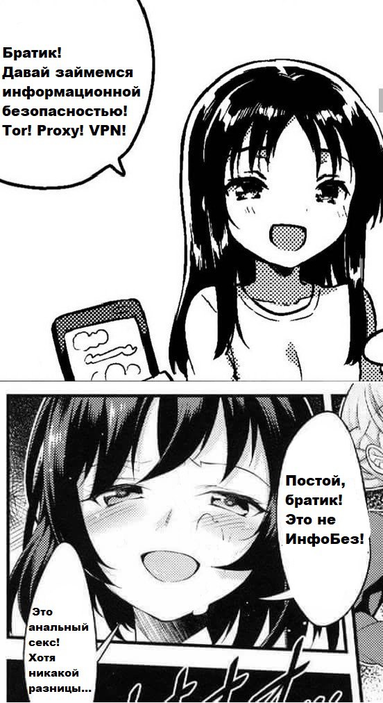 Братик! Давай займёмся информационной безопасностью! Мем с аниме-девочкой, предлагающей братику заняться информационной безопасностью, а затем уточняющей, что это анальный секс