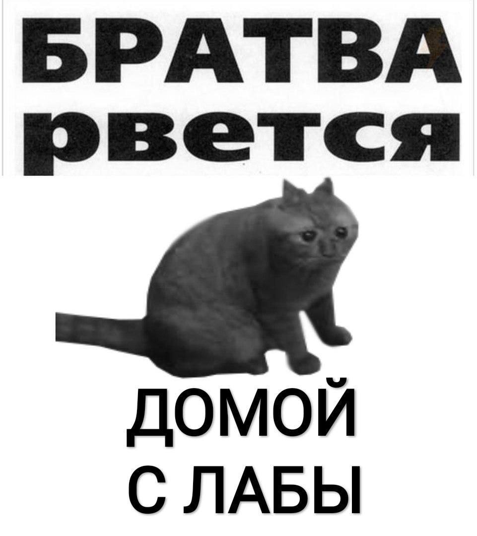 Братва рвется домой с лабы Мем с котом и надписью «Братва рвется домой с лабы», символизирующий желание студентов поскорее уйти домой после лабораторной работы