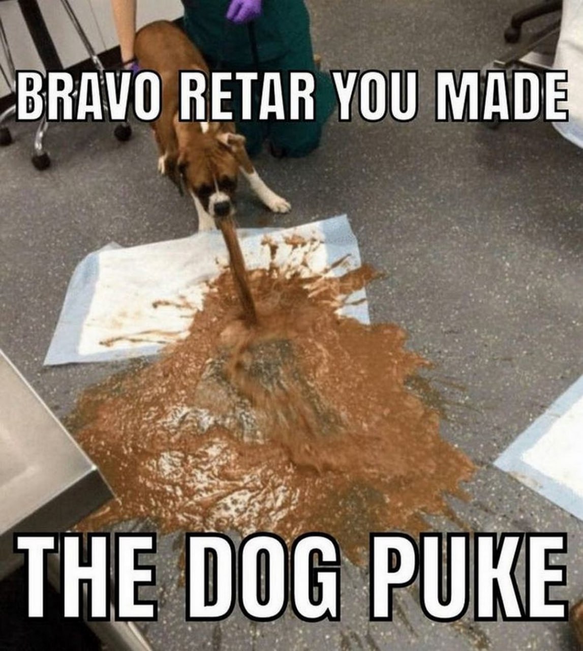 Bravo retar you made the dog puke Собака рвет, а на изображении написано: «Браво, тормоз, ты заставил собаку блевать»