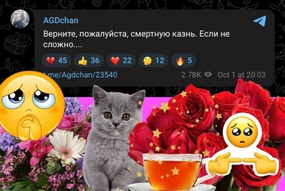 Телеграм-пост с просьбой вернуть смертную казнь на фоне грустных эмодзи, котёнка, цветов, роз и чашки чая.