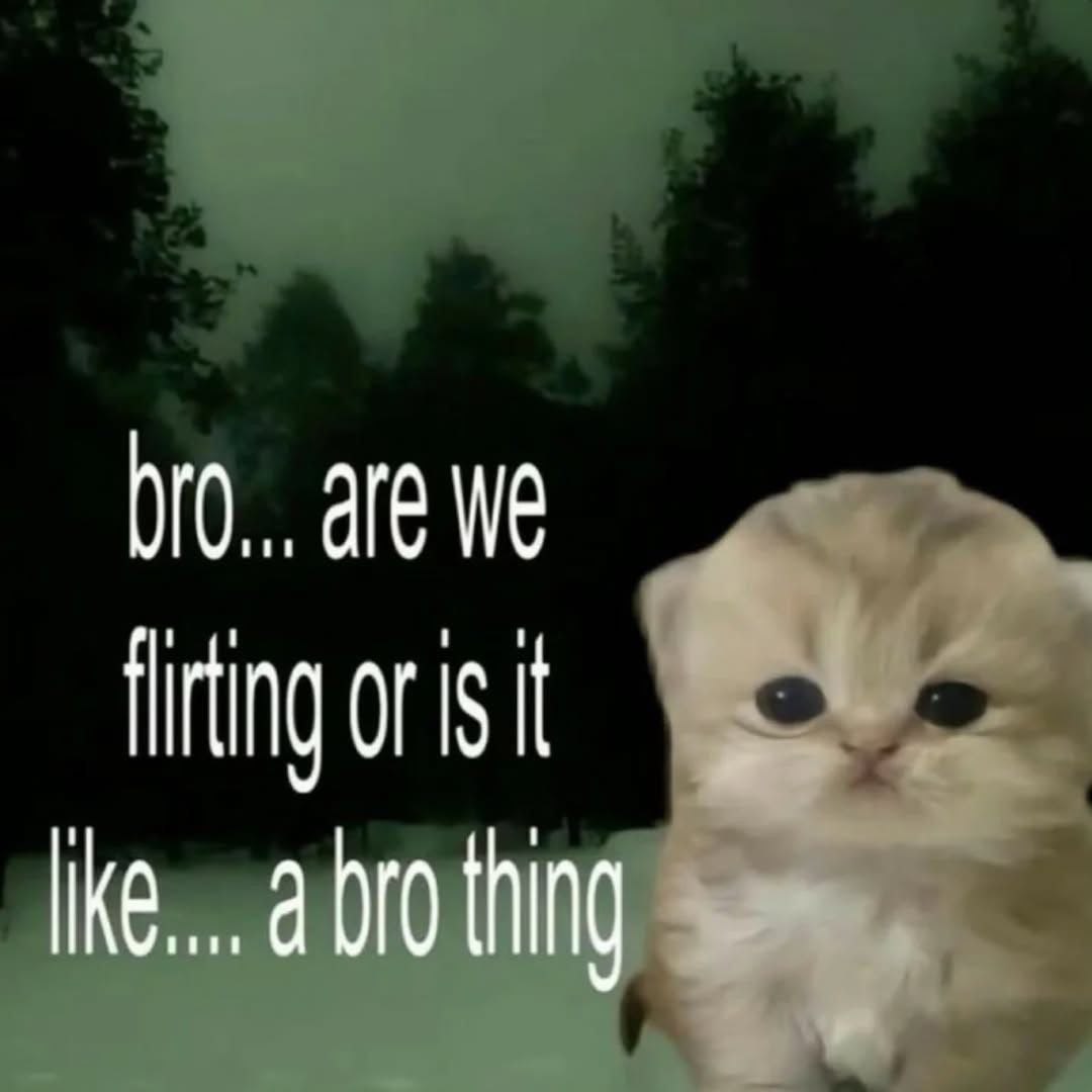 Bro... are we flirting or is it like.... a bro thing Котёнок с текстом «Bro... are we flirting or is it like.... a bro thing»