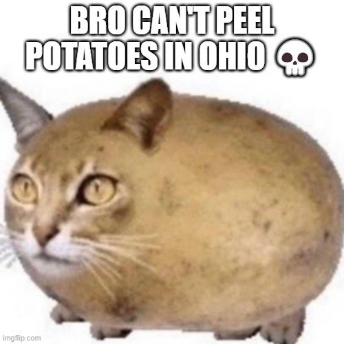 Bro can't peel potatoes in Ohio Кот-картошка с текстом Bro can't peel potatoes in Ohio
