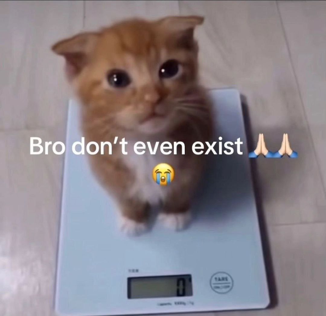 Bro don't even exist Мем с очень маленьким котенком на весах, который настолько легкий, что весы показывают 0