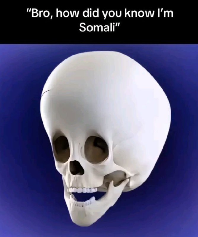 Bro, how did you know I’m Somali Мем с 3D-черепом и надписью «Bro, how did you know I’m Somali»