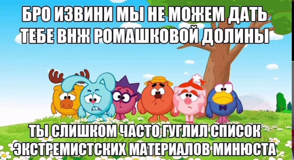 Бро извини мы не можем дать тебе ВНЖ Ромашковой долины Бро извини мы не можем дать тебе ВНЖ Ромашковой долины. Ты слишком часто гуглил список экстремистских материалов Минюста