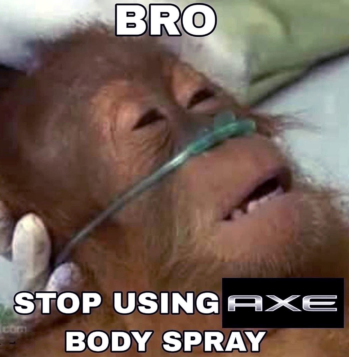 Bro stop using Axe body spray Орангутан в больнице подключен к кислороду и просит перестать пользоваться Axe body spray