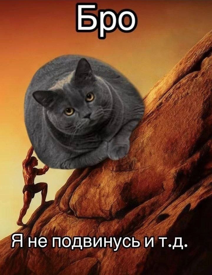 Большой серый кот сидит на скале перед альпинистом, а на картинке написано «Бро. Я не подвинусь и т.д.»