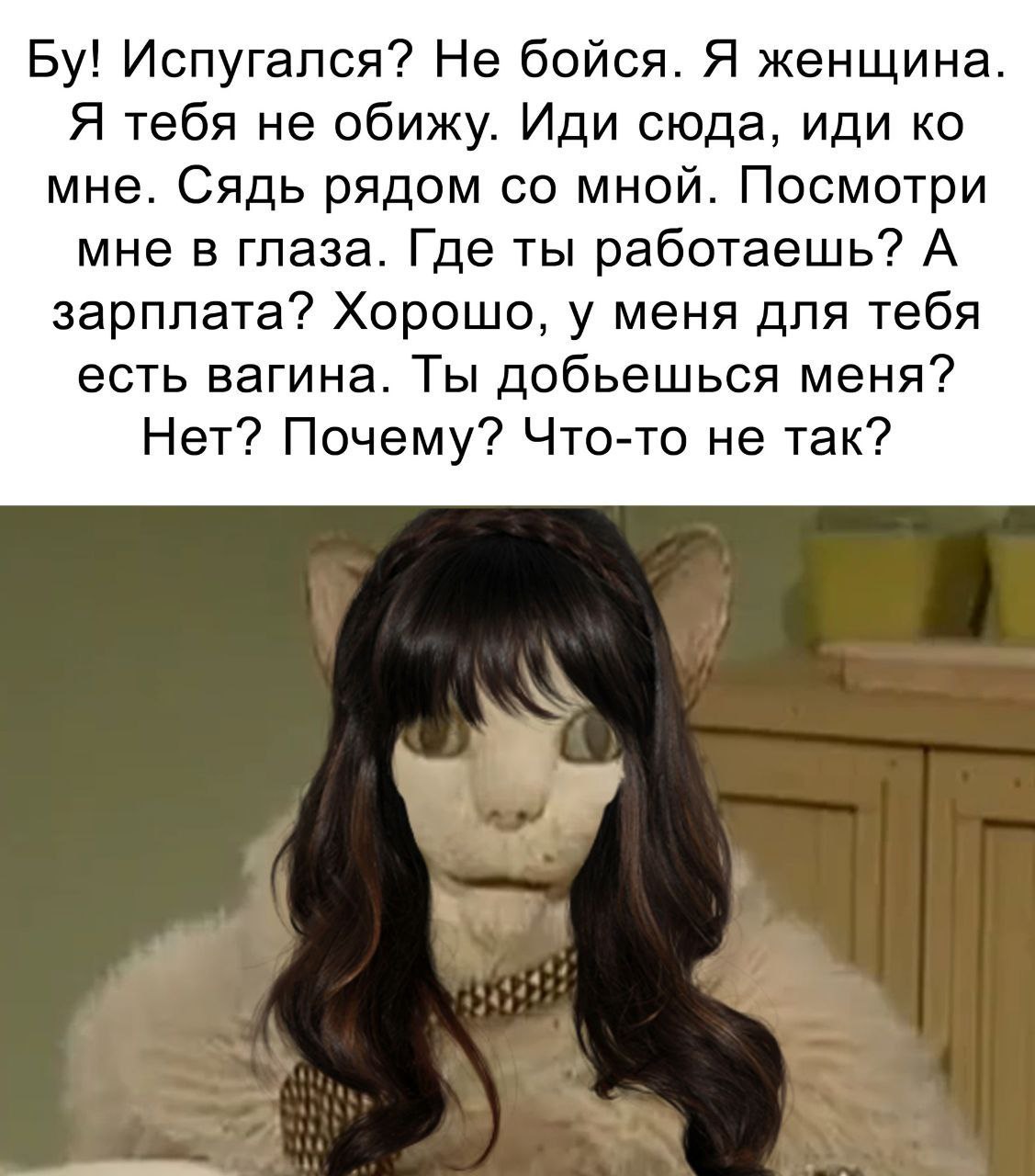 Бу! Испугался? Я женщина Мем с котом в парике, говорящим: «Бу! Испугался? Я женщина»