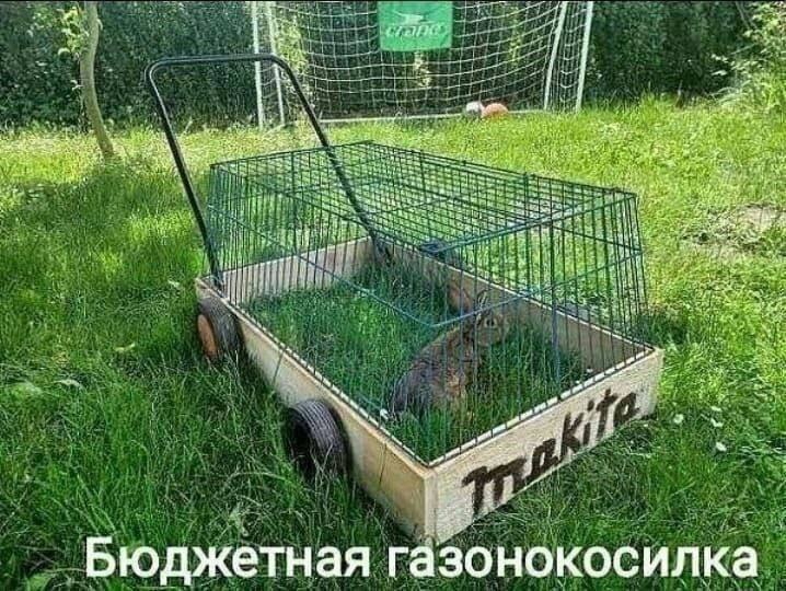 Бюджетная газонокосилка Тележка с кроликами, поедающими траву, как бюджетная газонокосилка