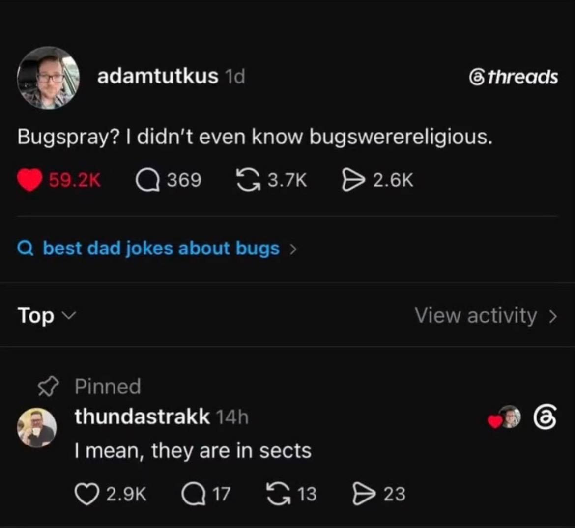 Шутка в Threads: «Bugspray? I didn’t even know bugs were religious», а в ответ — «I mean, they are in sects»