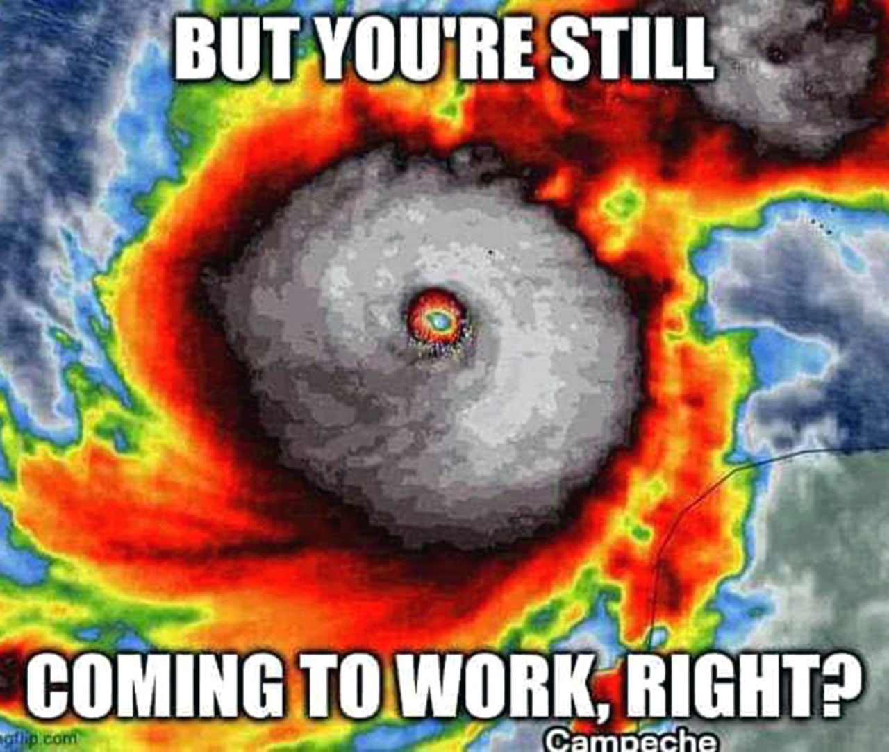 But you're still coming to work, right Ураган и вопрос о выходе на работу