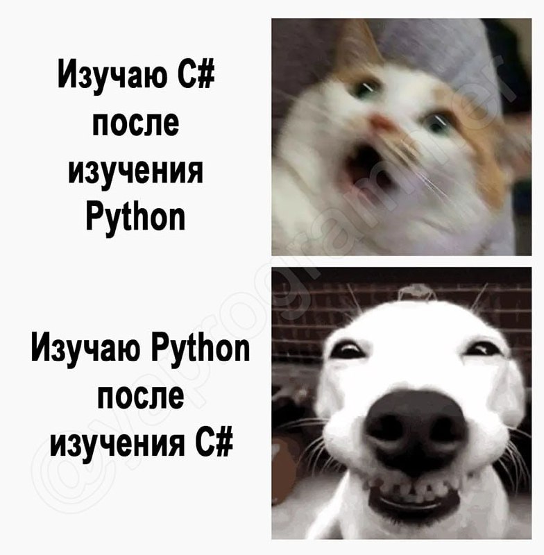 Изучаю C# после изучения Python Мем с котом, который кричит от ужаса при изучении C# после Python, и собакой, которая улыбается при изучении Python после C#