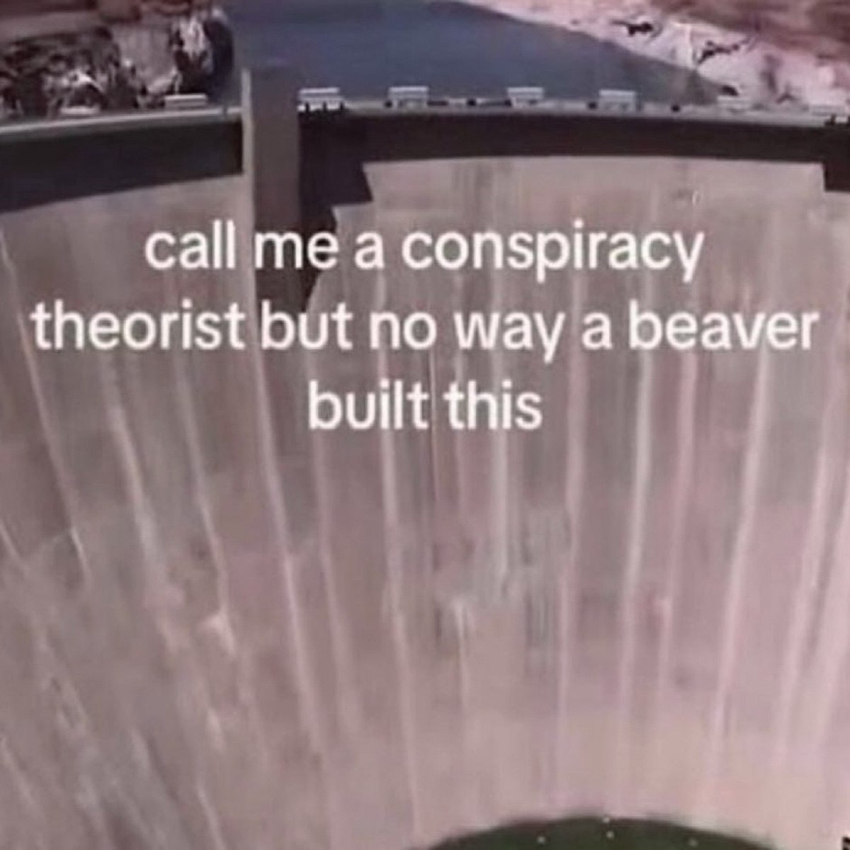 Call me a conspiracy theorist but no way a beaver built this Мем с надписью "call me a conspiracy theorist but no way a beaver built this" на фоне плотины