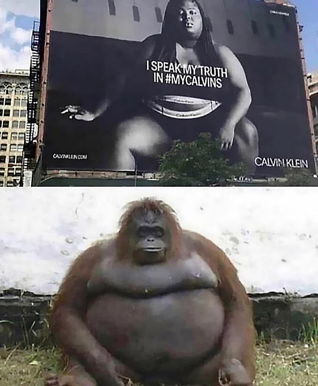 Calvin Klein и орангутанг Женщина плюс-сайз из рекламы Calvin Klein и орангутанг.