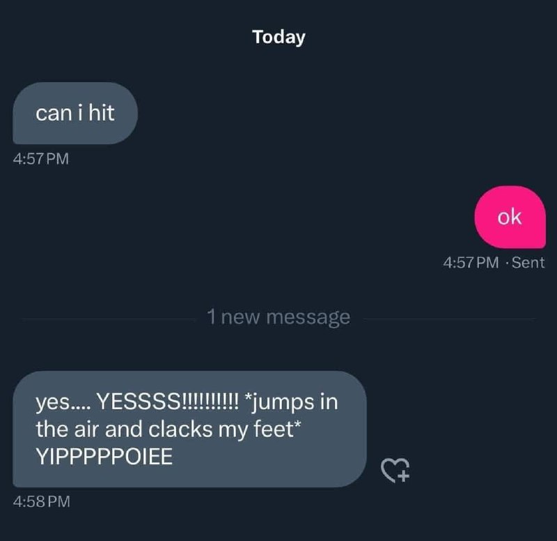 Can i hit ok yes Скриншот переписки в мессенджере, где человек спрашивает "можно ударить", получает "ок" и чрезмерно бурно радуется.