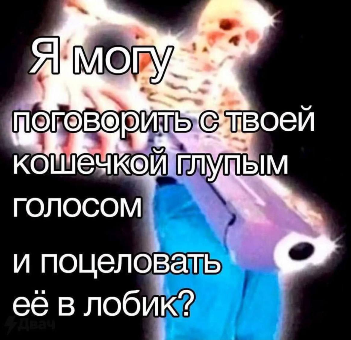 Я могу поговорить с твоей кошечкой глупым голосом Светящийся скелет с игрушечным бластером спрашивает "Я могу поговорить с твоей кошечкой глупым голосом и поцеловать её в лобик?"