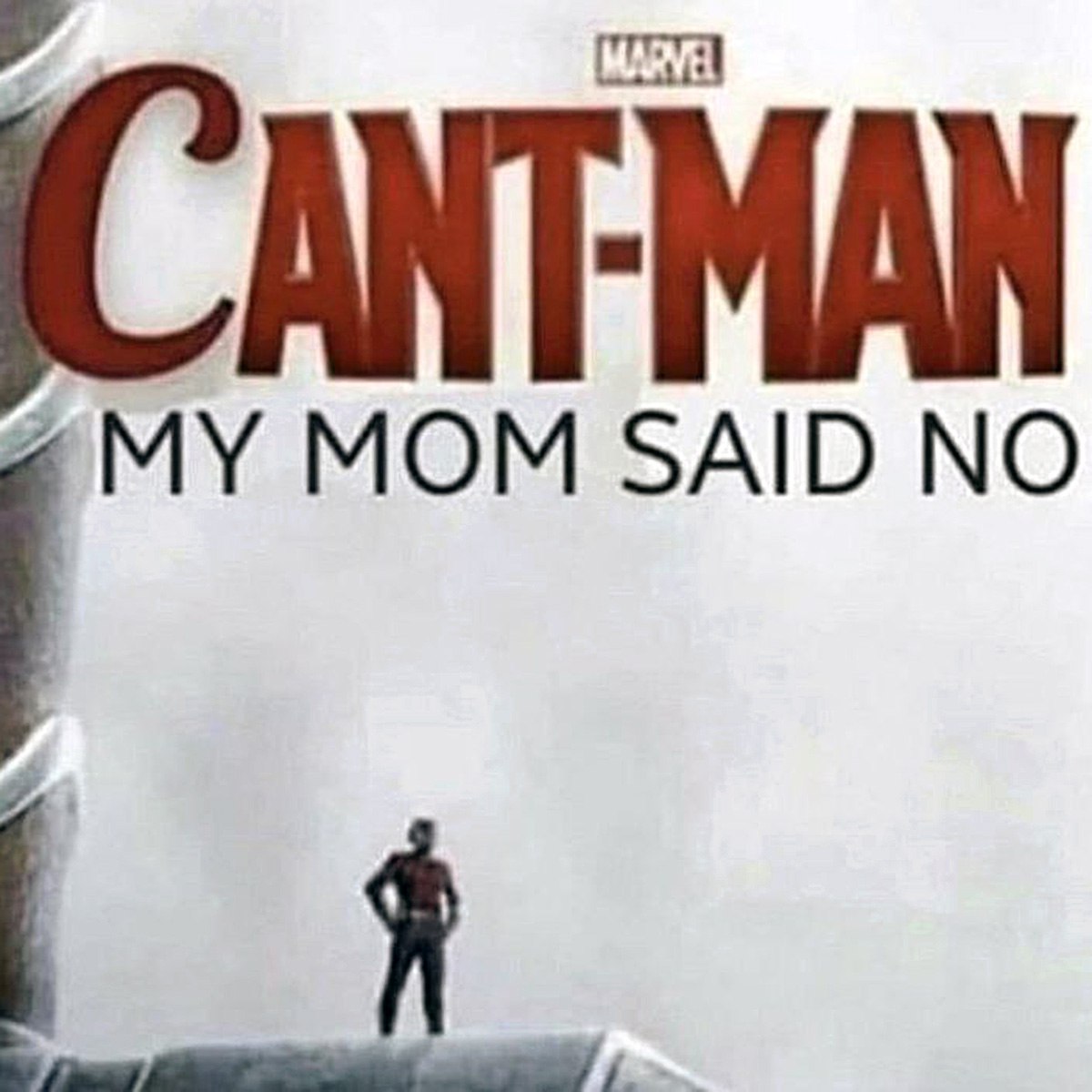 Cant-man My mom said no Мем про Человека-муравья, который не может сделать то, что хочет, потому что "Мама сказала нет".
