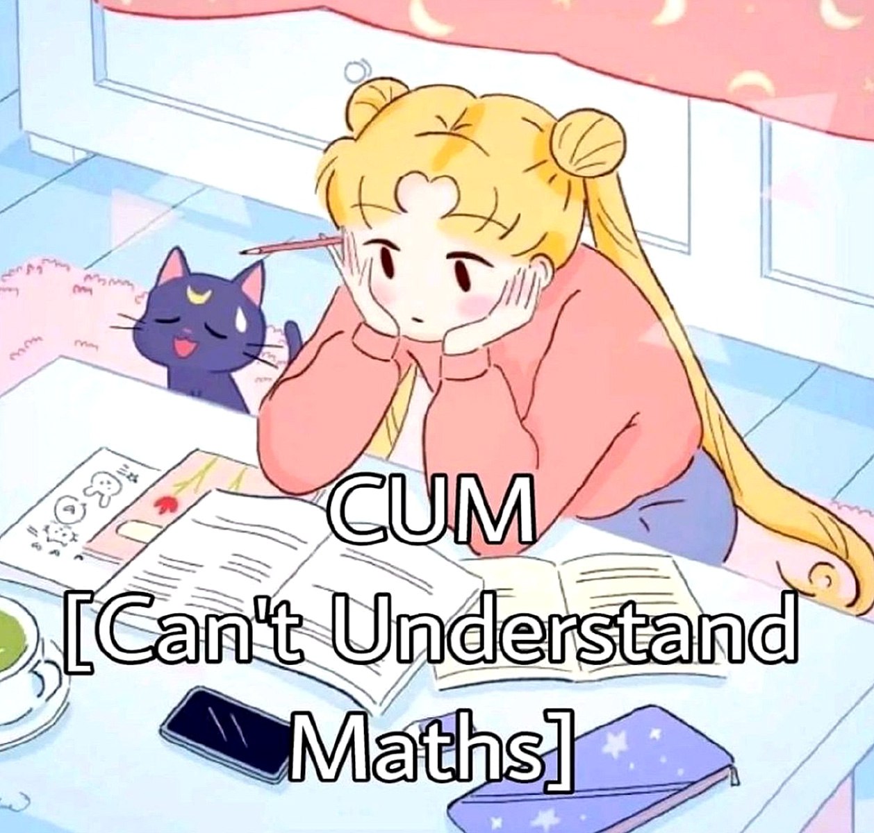 CUM Can't Understand Maths Мем со Сейлор Мун, которая не может понять математику