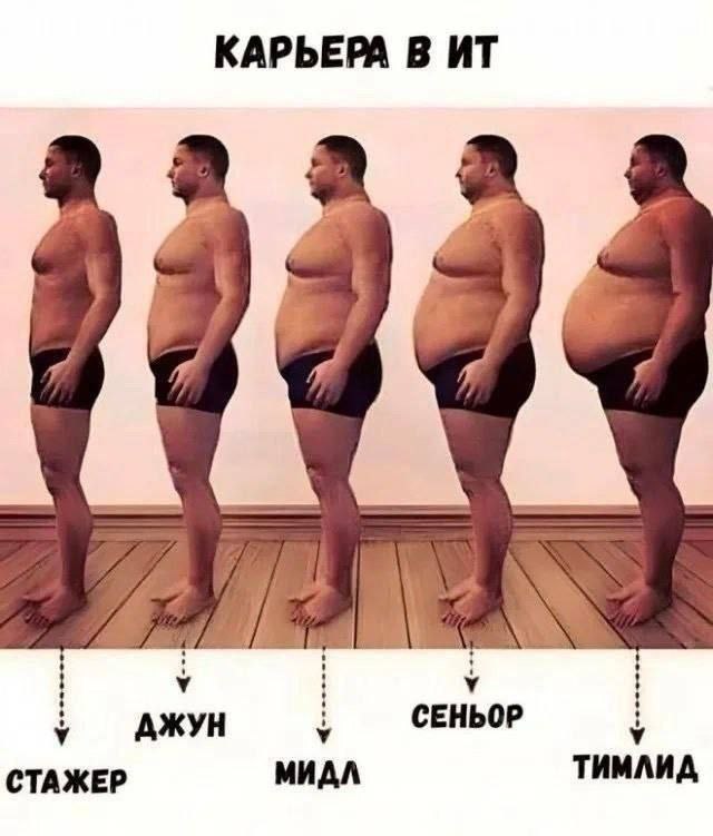 Карьера в ИТ Мем про карьеру в ИТ и изменение фигуры от стажера до тимлида