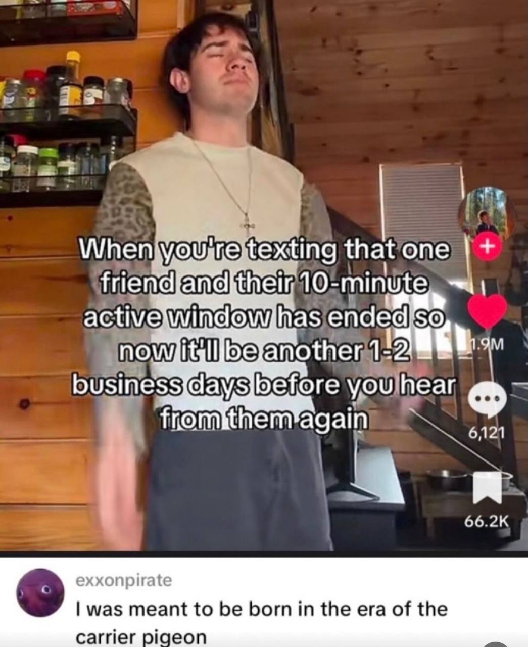 Скриншот из TikTok с шуткой про переписку с другом, который отвечает только в короткое активное окно, и подписью про эпоху почтового голубя.