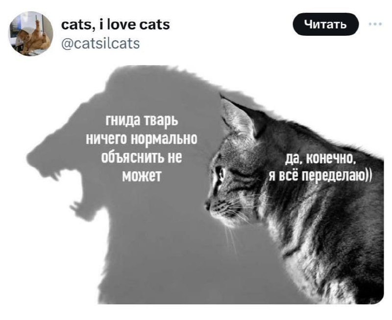 Кот и его злая тень Кот, изображенный с агрессивной тенью, выражающей злость и раздражение, в то время как сам кот выглядит спокойным и покорным, соглашаясь всё переделать.