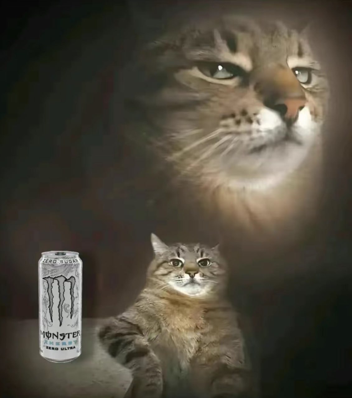 Кот и Monster Energy Кот смотрит на банку энергетика, а над ним висит его второе, более крупное «Я».