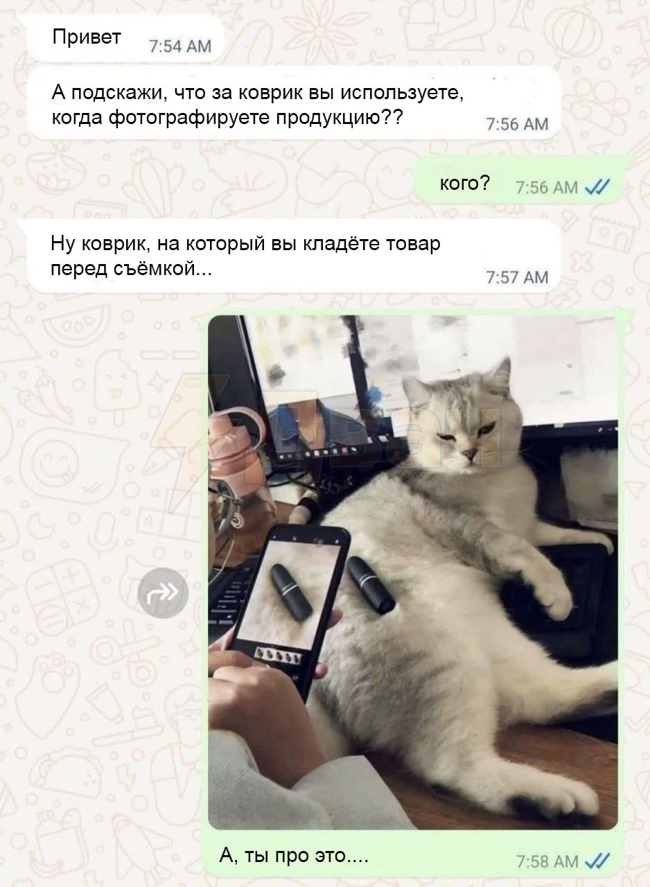 Кот вместо коврика Переписка, в которой вместо коврика для фото используют кота