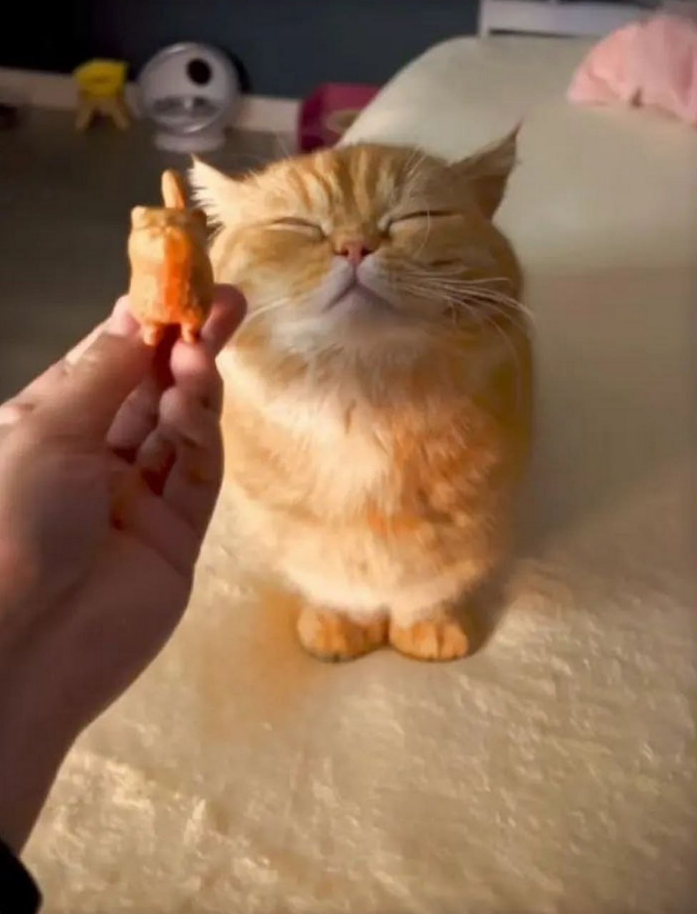 Кот блаженно смотрит на игрушечного котенка Рыжий кот смотрит на игрушечного котенка с закрытыми глазами