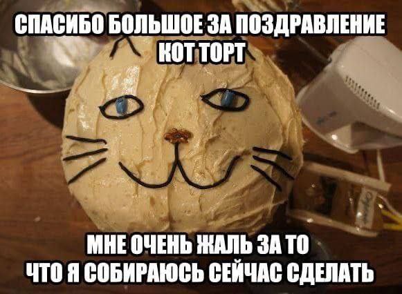 Кот торт мне очень жаль Торт в виде кота с надписью "Мне очень жаль за то, что я собираюсь сейчас сделать"