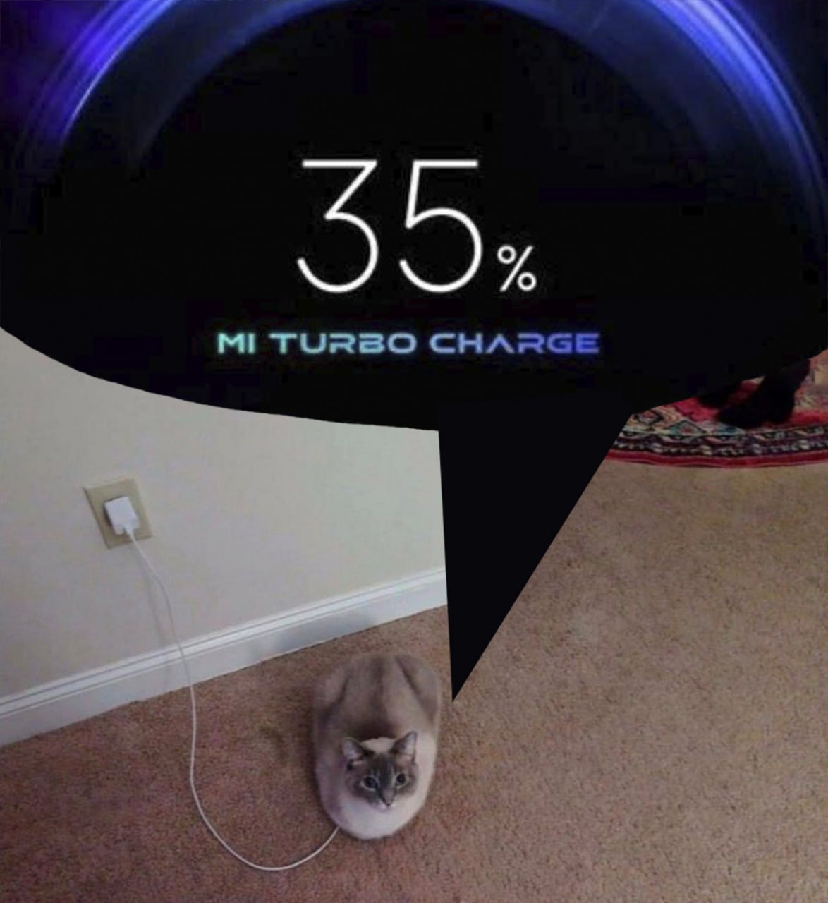 Кот на зарядке Xiaomi Mi Turbo Charge Кот подключен к зарядке Xiaomi Mi Turbo Charge на 35 процентов