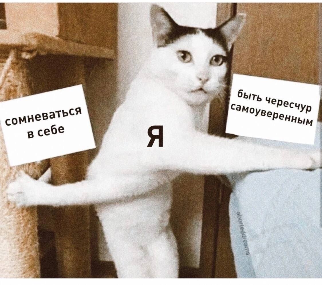 Я между сомнением и самоуверенностью Кот, раскинувший лапы между надписями «сомневаться в себе» и «быть чересчур самоуверенным», символизирует баланс или колебание между этими двумя состояниями. Посередине на груди у него написано «Я»
