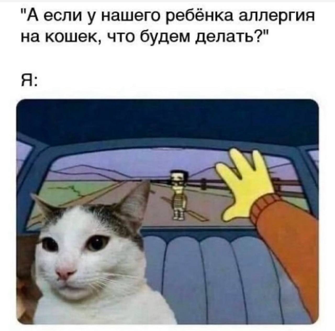 Кот за рулем и выкидывание ребенка из машины Кот за рулем машины, а сзади выбрасывают ребенка из окна из-за аллергии на кошек.