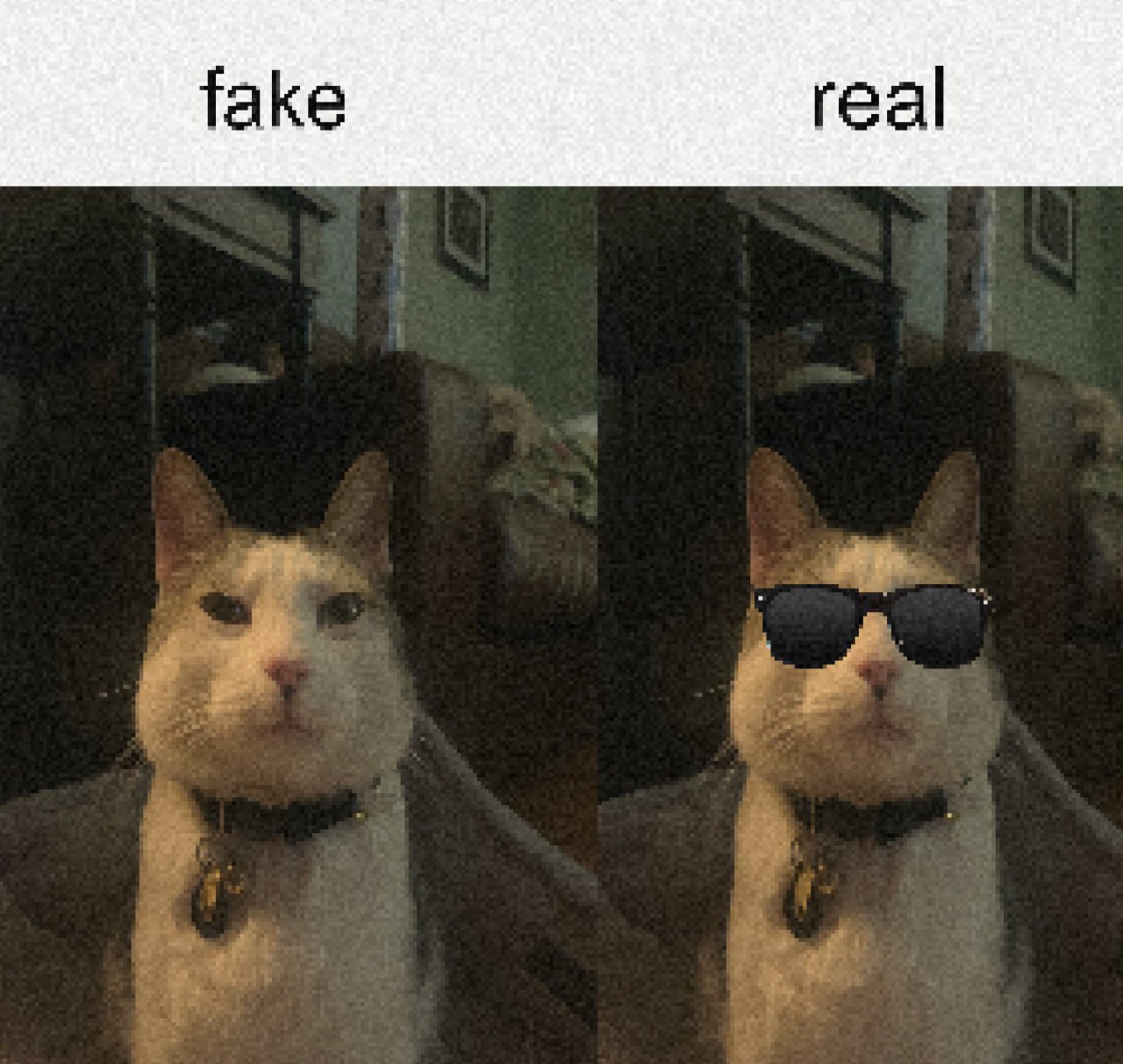 Кот fake real Кот в очках и без, мем «fake real»