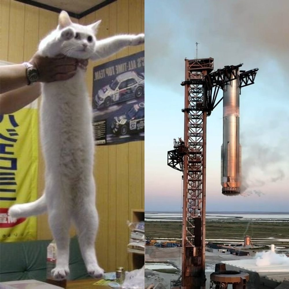 Кот держит ракету Мем с котом, который держит ракету SpaceX на фоне стартовой башни