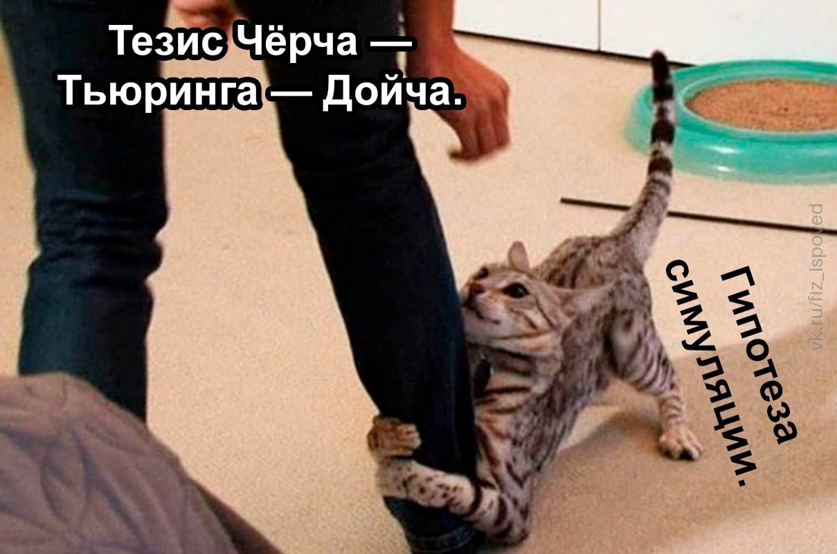 Полосатый кот обнимает ногу человека и не отпускает её, сопровождая сцену абсурдными подписями про гипотезу и чешских хоккеистов.
