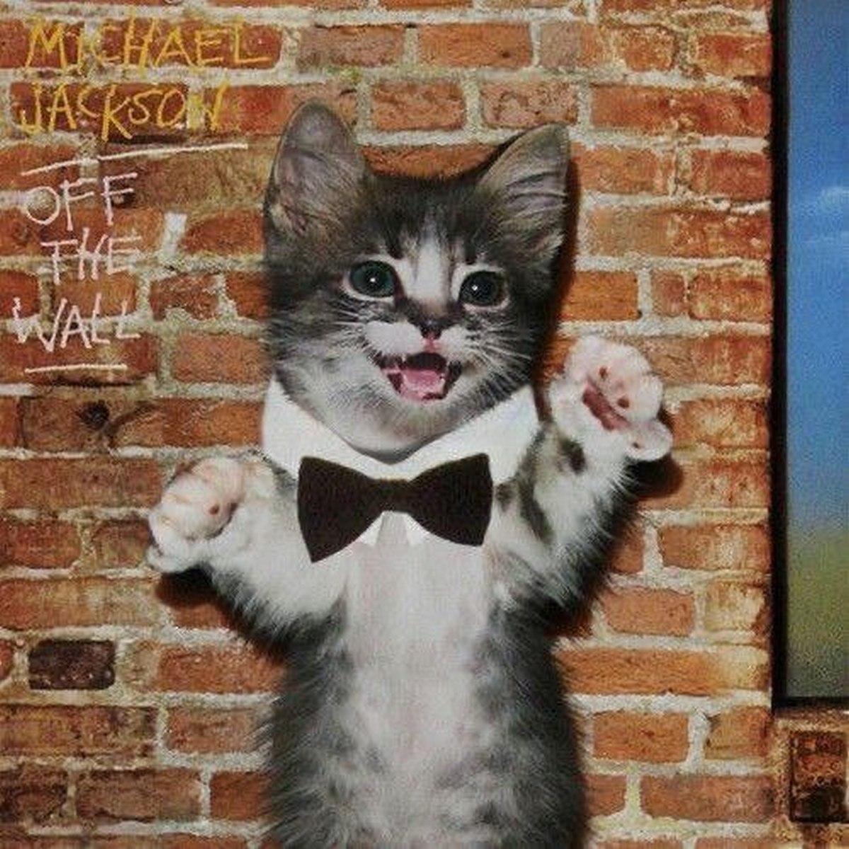 Кот в галстуке бабочке Off the Wall Котенок в галстуке бабочке на фоне кирпичной стены с надписью Michael Jackson Off the Wall
