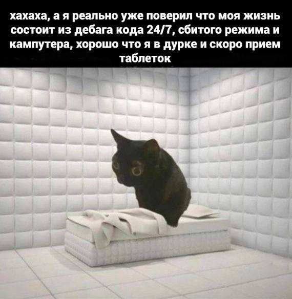 Кот в мягкой палате Черный кот сидит на кровати в комнате с мягкими белыми стенами, напоминающей палату психиатрической клиники.