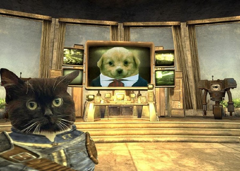 Кот в броне и щенок-бизнесмен на экране Мем с котом в броне из Fallout, который смотрит на щенка-бизнесмена по телевизору