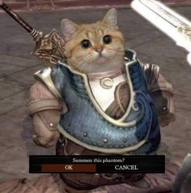 Кот в доспехах Dark Souls Кот в доспехах из игры Dark Souls и надпись "Summon this phantom? OK CANCEL"