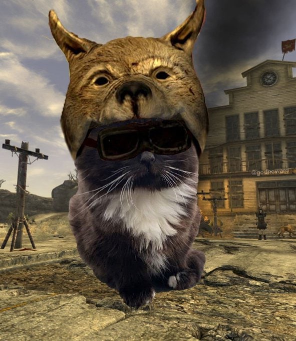 Кот в маске собаки из Fallout Мем с котом в маске собаки из Fallout New Vegas и очках-авиаторах