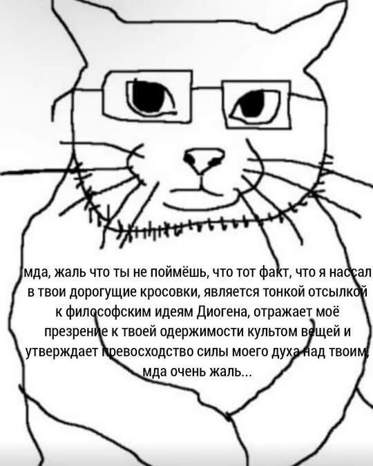 Кот в очках Диоген Кот в очках рассуждает о философии Диогена после того, как нассал в кроссовки хозяина