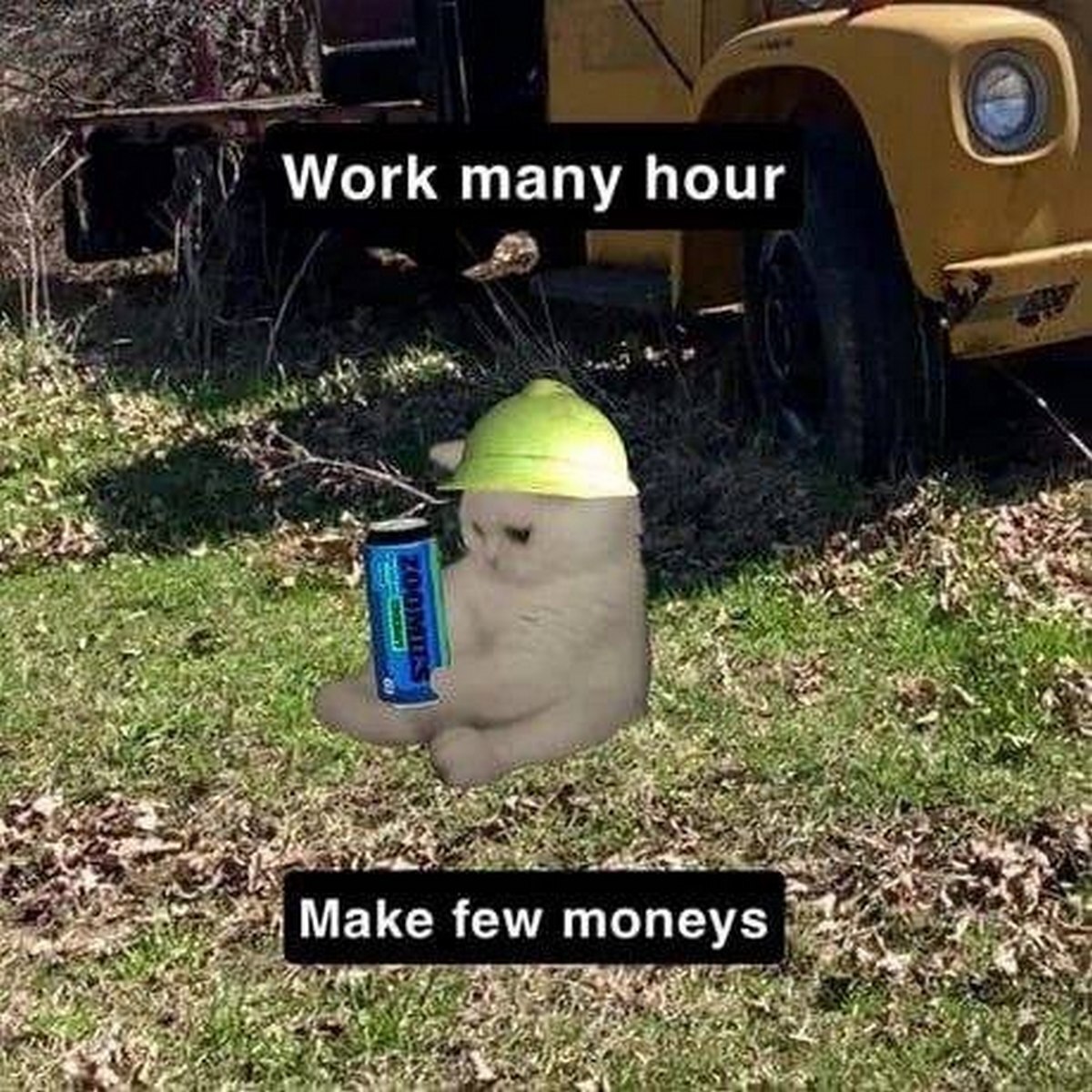 Кот в каске и фраза Work many hour Мем с котом в желтой строительной каске, который сидит на траве с банкой энергетика и надписями Work many hour, Make few moneys