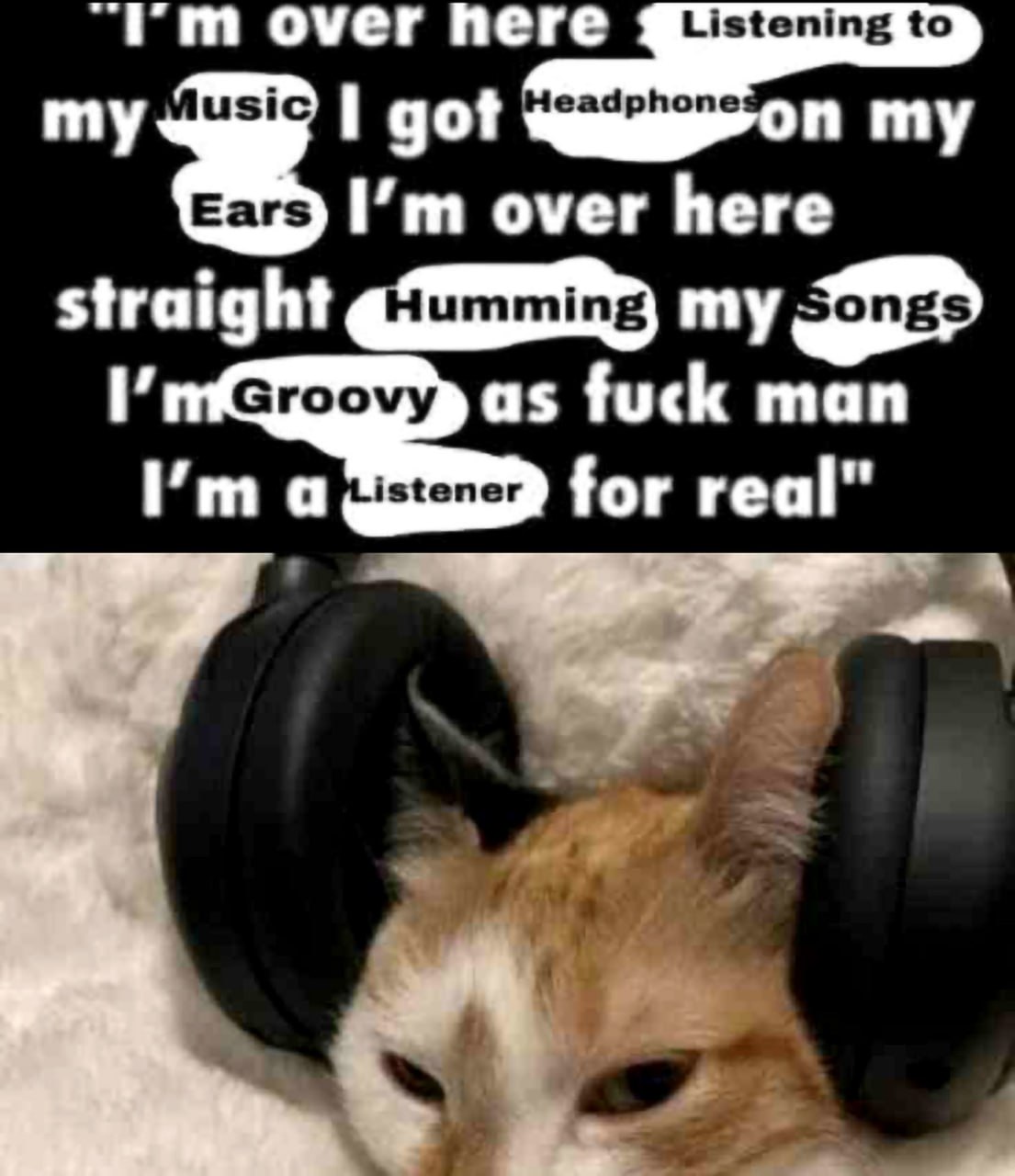 Кот в наушниках "I'm Groovy as fuck man" Мем с котом в наушниках и надписью "I'm over here Listening to my Music I got Headphones on my Ears I'm over here straight Humming my Songs I'm Groovy as fuck man I'm a Listener for real"