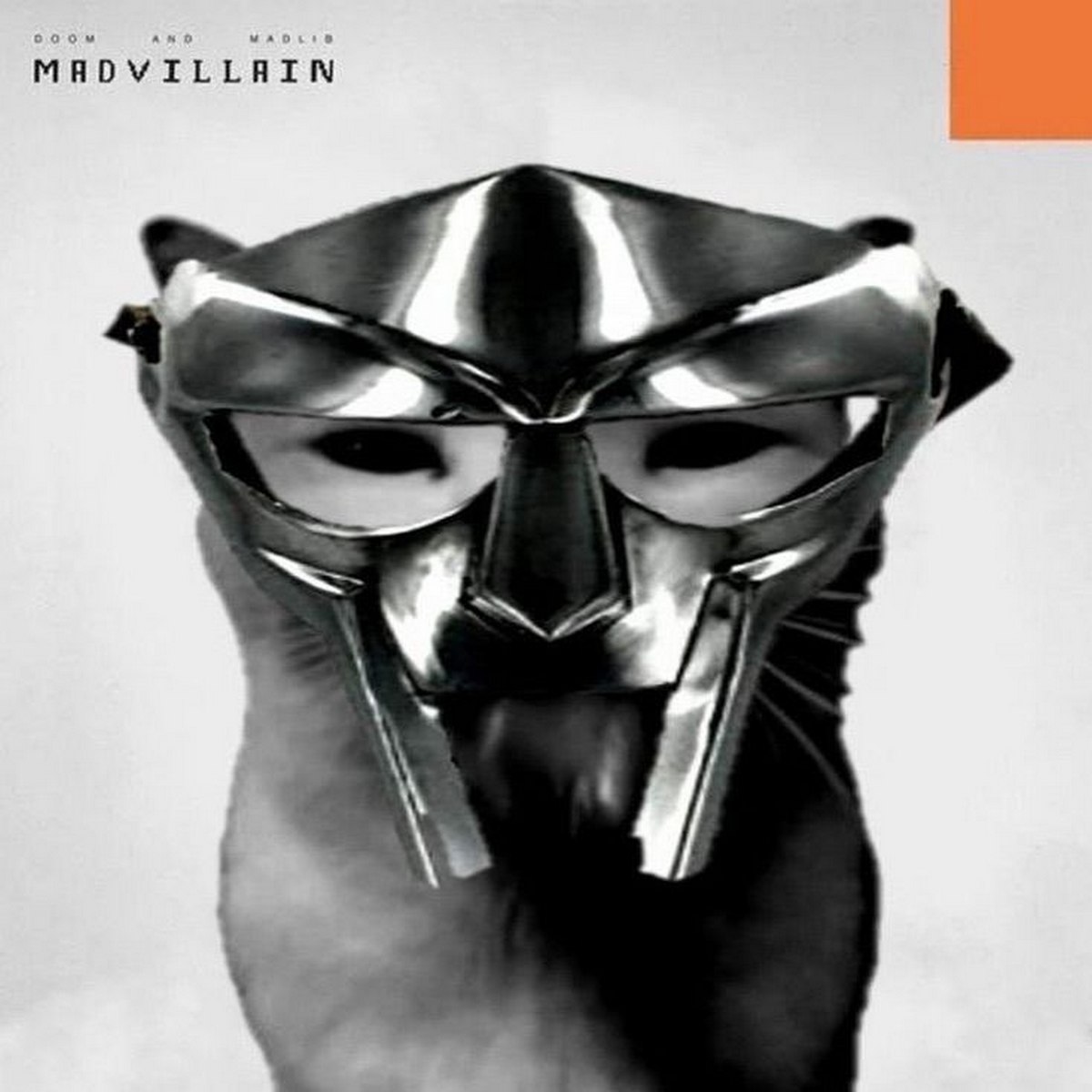 Кот Madvillain Кот в маске Madvillain